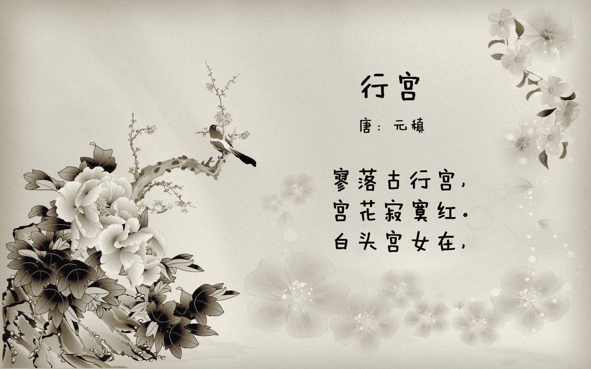 开云入口-_全国游泳锦标赛:青年运动员崭露头角_,全国青年游泳锦标赛比赛成绩