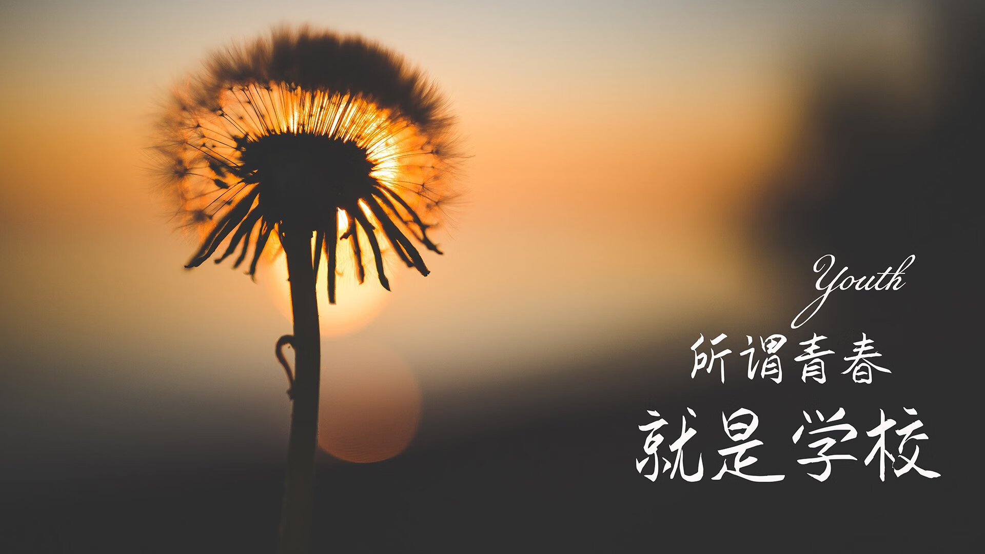 《VR电竞体验：沉浸式比赛成为可能》，vr沉浸式体验是什么意思