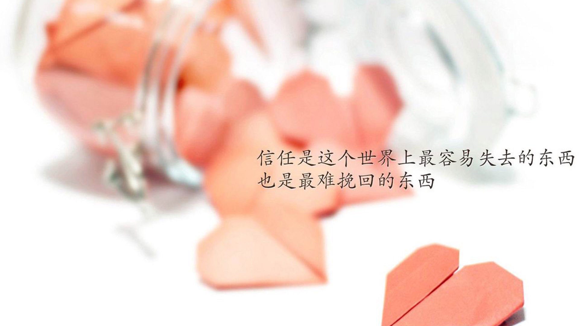 影视与F1：明星赛车纪录片引发关注，赛车的影视