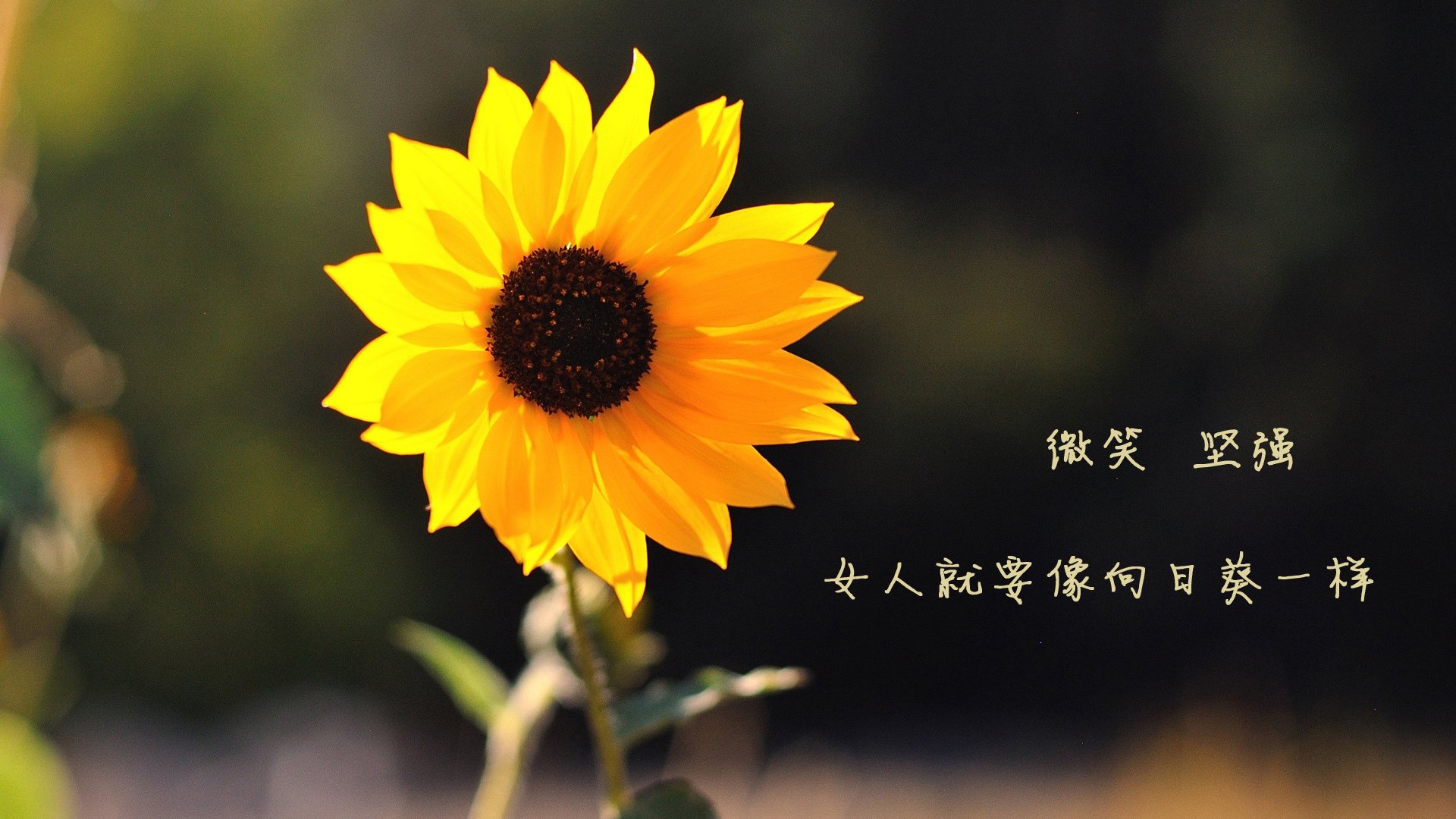 kaiyun网站-足球运动员心理健康问题逐渐受到重视，足球运动员的健康体现在哪些方面