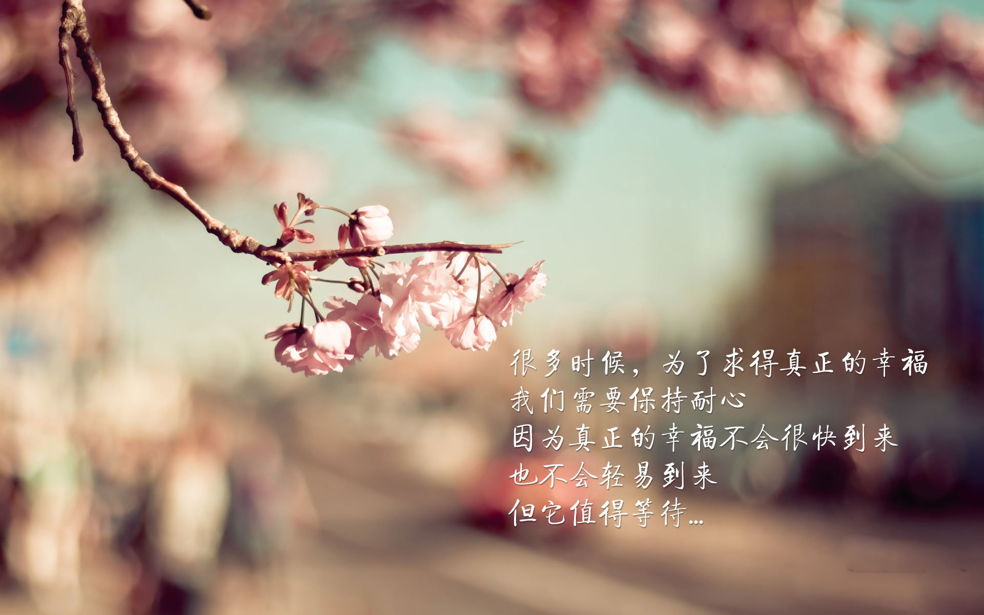 开云中国大陆-墨西哥队备战国际友谊赛，阵容调整，墨西哥小组赛