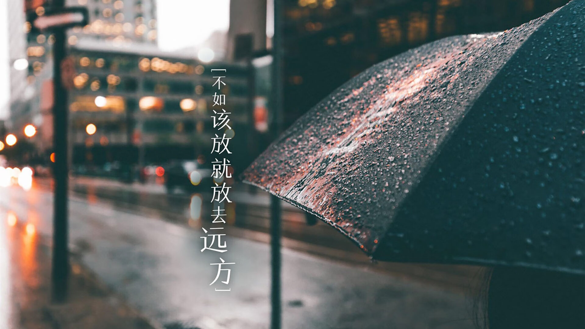 开云官网APP下载-射手精彩进球助力球队晋级杯赛，射手球员