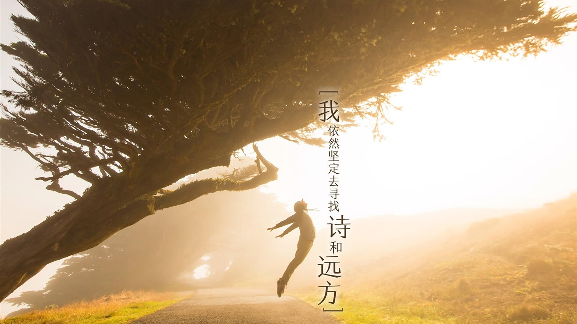 kaiyun官方网站-球场被雪覆盖？塞内加尔照样打出极限传控！，塞内加尔视频
