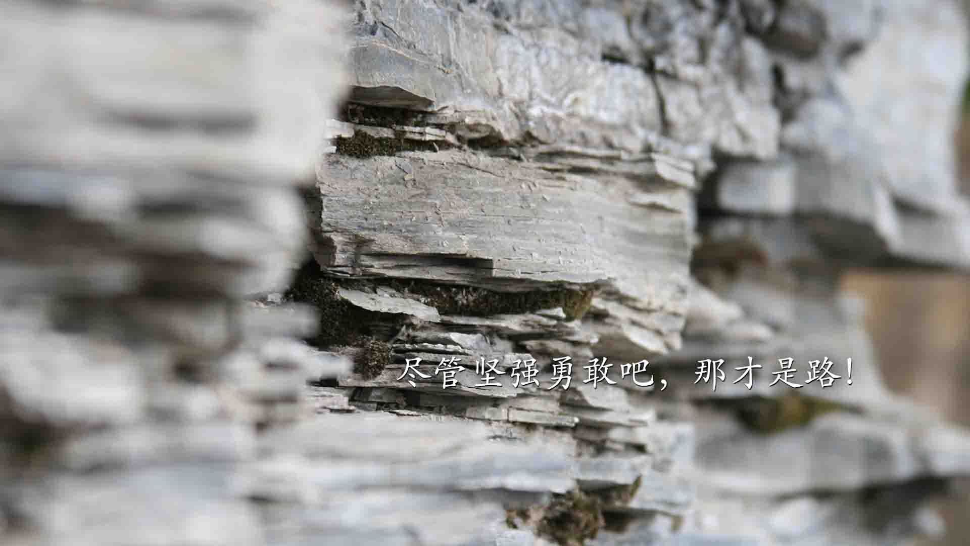 篮网输球杜兰特手感全无