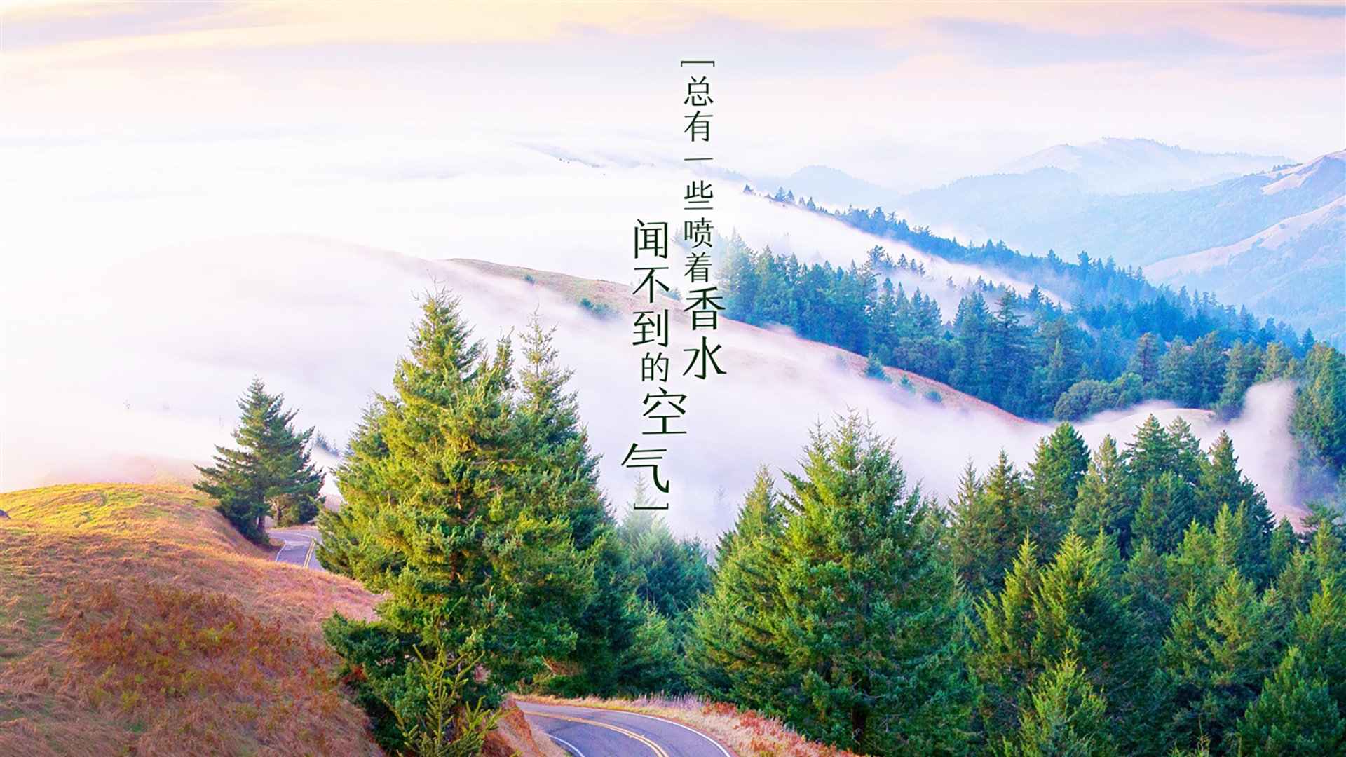 世界围棋赛精彩瞬间频现，世界围棋大赛总决赛