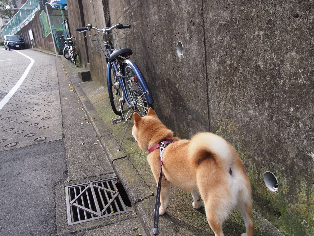 体育企业参与篮球公益计划赞助乡村学校训练装备,篮球公益营销策划方案