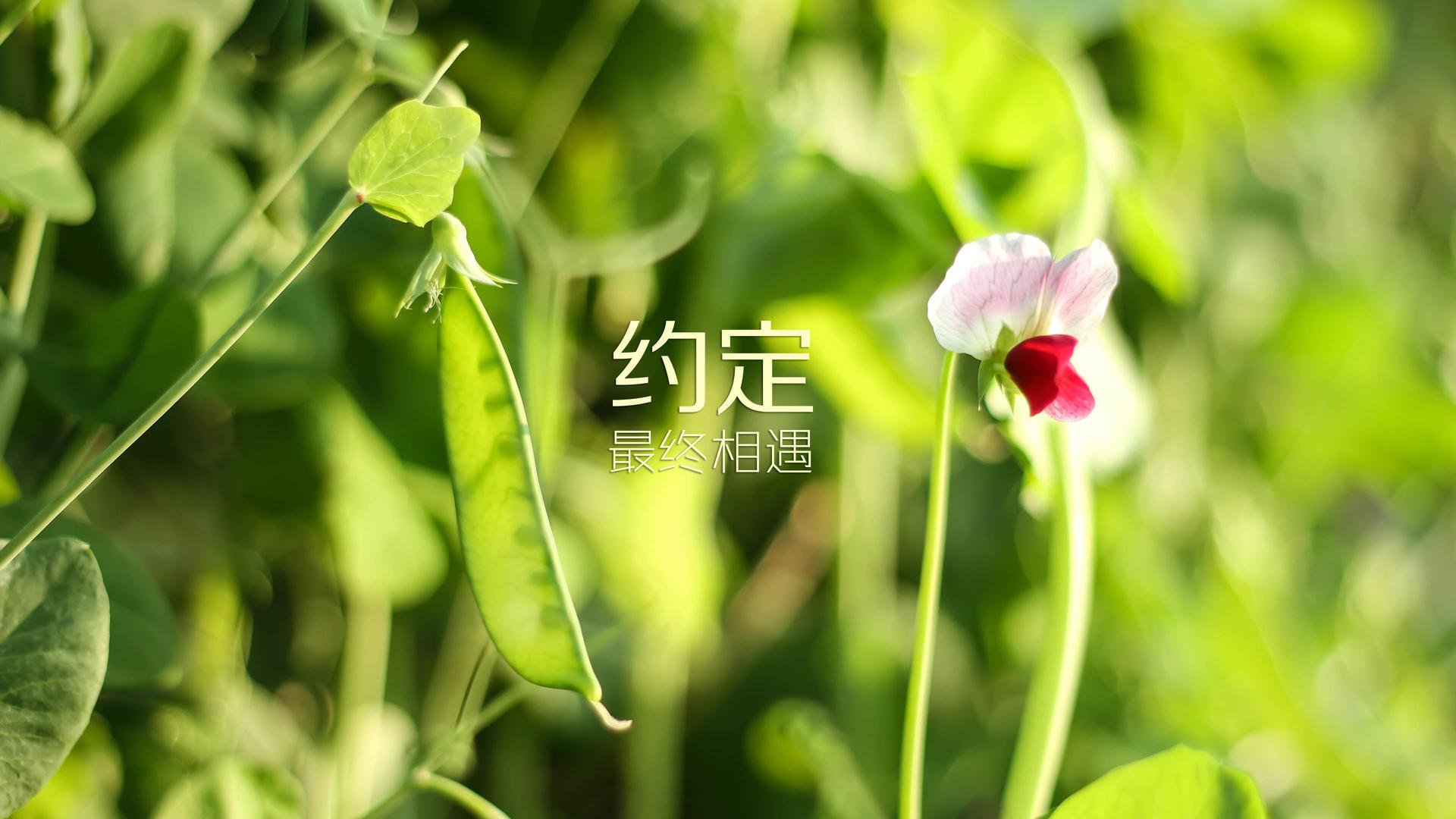 kaiyun中国官方网站-勇士官方账号发布球员搞笑训练集锦,勇士队训练