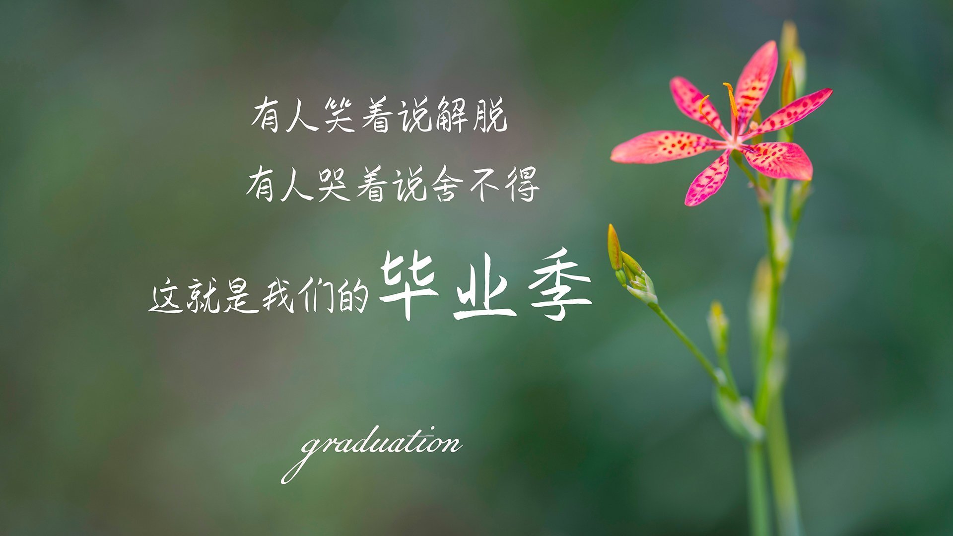 kaiyun开云·官方网站-欧洲杯策略创新:变阵、突破奇迹不断!,欧洲杯深度解析
